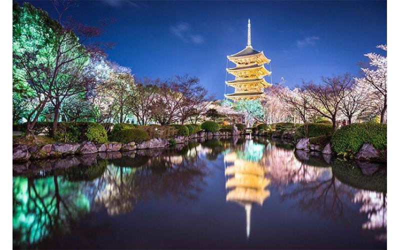 如何打造出讓市民滿意的公園亮化工程？